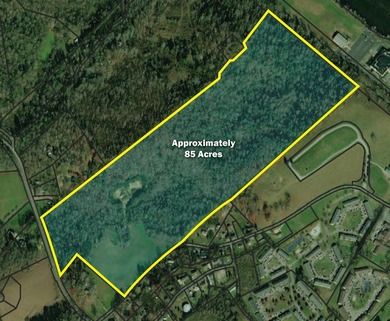 This gorgeous property features approximately 85 acres and sits - photo 2