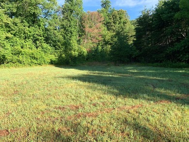 This gorgeous property features approximately 85 acres and sits - photo 3