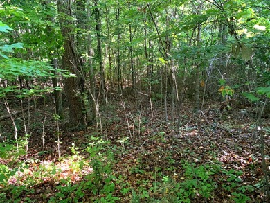 This gorgeous property features approximately 85 acres and sits - photo 4