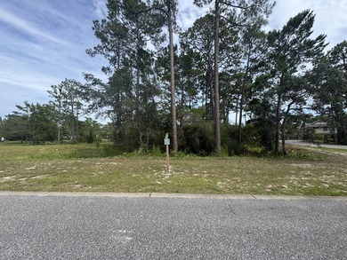 Best Priced Lot in Wild Heron! This prime location, situated - photo 1