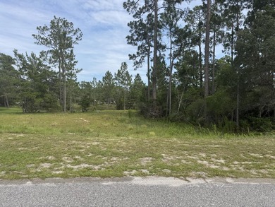 Best Priced Lot in Wild Heron! This prime location, situated - photo 3