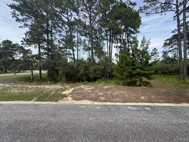 Best Priced Lot in Wild Heron! This prime location, situated - photo 4