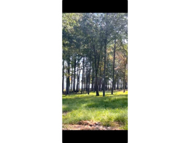 Lake Lot For Sale in Bronson, Texas