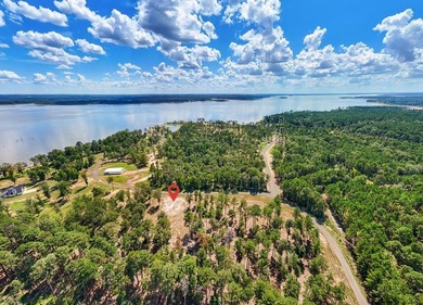 PRICE IMPROVEMENT! Rayburn Ridge Subdivision!!! Dreaming of Lake - photo 3