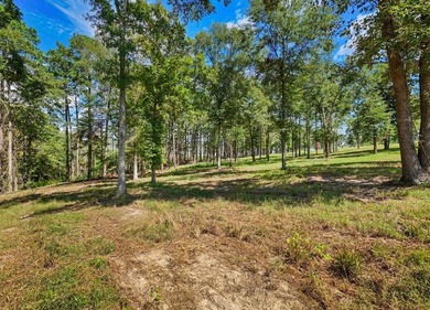 PRICE IMPROVEMENT! Rayburn Ridge Subdivision!!! Dreaming of Lake - photo 4