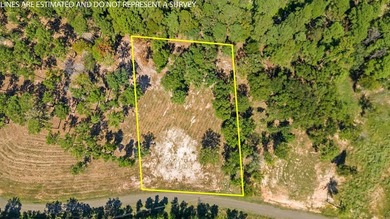 PRICE IMPROVEMENT! Rayburn Ridge Subdivision!!! Dreaming of Lake - photo 7