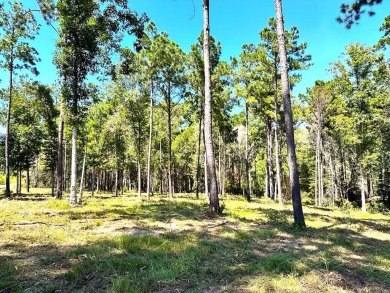Lake Acreage For Sale in Bronson, Texas