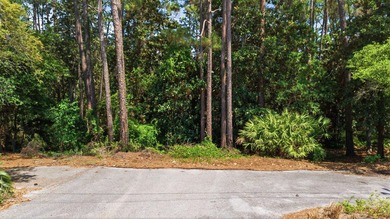 Rare 30A Developer Opportunity: Two Gulfview Heights Lots for - photo 2