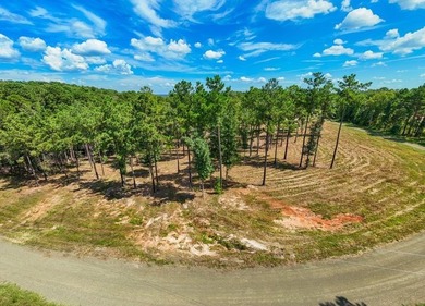 PRICE IMPROVEMENT!! Rayburn Ridge Subdivision! Waterview with - photo 4