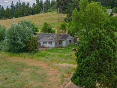Follow the long private driveway to this secluded 84+ acre farm - photo 44