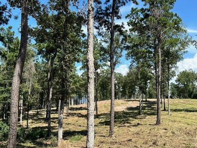 PRICE IMPROVEMENT!! Rayburn Ridge Subdivision! Waterview with - photo 5