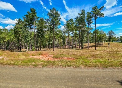 PRICE IMPROVEMENT!! Rayburn Ridge Subdivision! Waterview with - photo 6