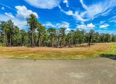 PRICE IMPROVEMENT!! Rayburn Ridge Subdivision! Waterview with - photo 8