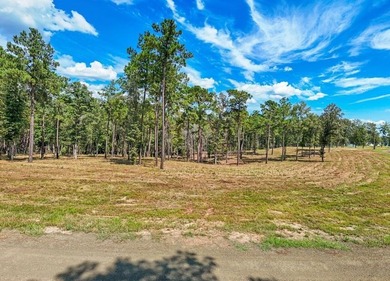 PRICE IMPROVEMENT!! Rayburn Ridge Subdivision! Waterview with - photo 9