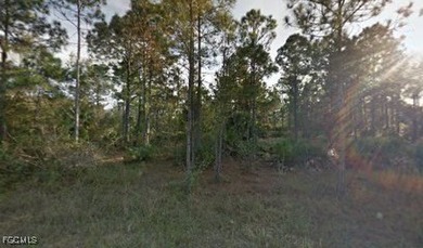Lehigh Acres Area Lot For Sale in Lehigh Acres Florida