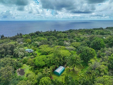 Self Sustaining Tropical Estate and Cacao Farm - Potential for - photo 3
