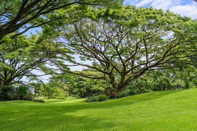 Self Sustaining Tropical Estate and Cacao Farm - Potential for - photo 6