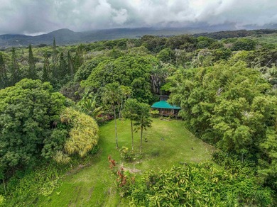 Self Sustaining Tropical Estate and Cacao Farm - Potential for - photo 7