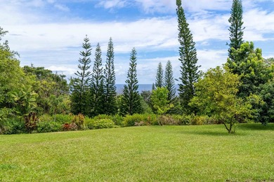 Self Sustaining Tropical Estate and Cacao Farm - Potential for - photo 8