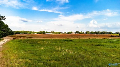 Location Location Location!!! Two parcels! Beautiful farm land - photo 11