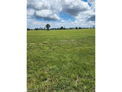 Commercial vacant lot in NE Cape Coral zoned P1-D - photo 2