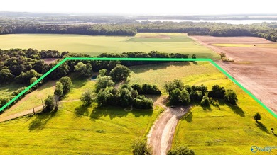 Location Location Location!!! Two parcels! Beautiful farm land - photo 12
