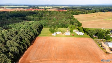 Location Location Location!!! Two parcels! Beautiful farm land - photo 15