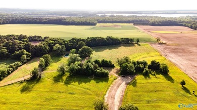 Location Location Location!!! Two parcels! Beautiful farm land - photo 16