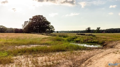 Location Location Location!!! Two parcels! Beautiful farm land - photo 18