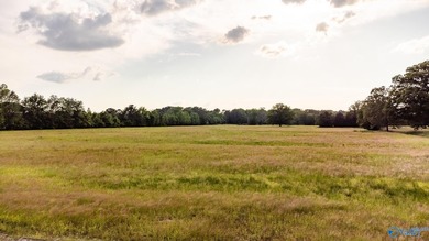Location Location Location!!! Two parcels! Beautiful farm land - photo 21