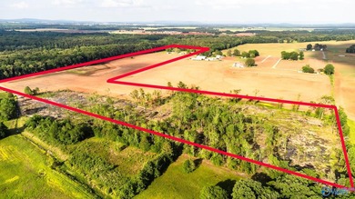 Location Location Location!!! Two parcels! Beautiful farm land - photo 25