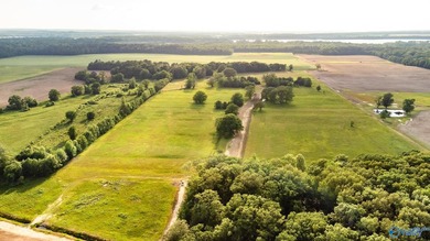 Location Location Location!!! Two parcels! Beautiful farm land - photo 28