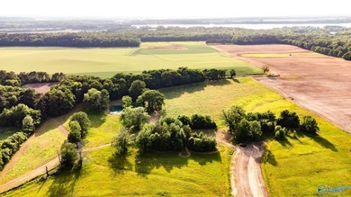 Location Location Location!!! Two parcels! Beautiful farm land - photo 30
