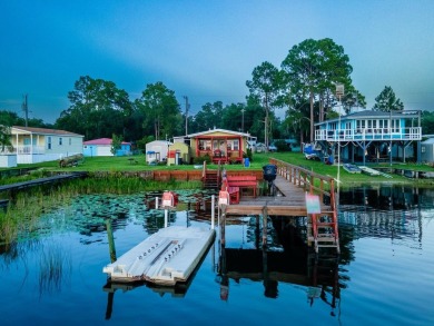 Lake Home For Sale in Salt Springs, Florida