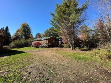 (private lake, pond, creek) Home For Sale in Harmony Maine