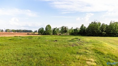Location Location Location!!! Two parcels! Beautiful farm land - photo 31