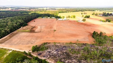 Location Location Location!!! Two parcels! Beautiful farm land - photo 33