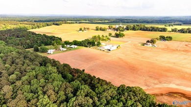 Location Location Location!!! Two parcels! Beautiful farm land - photo 34