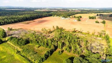 Location Location Location!!! Two parcels! Beautiful farm land - photo 36