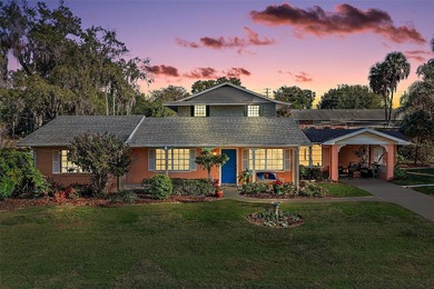 Lake Dora Home For Sale in Mount Dora Florida