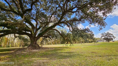 Lake Lot For Sale in Arnaudville, Louisiana