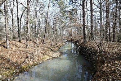 (private lake, pond, creek) Acreage For Sale in Mena Arkansas
