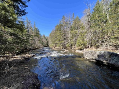 Lake Acreage Off Market in Belvidere, Vermont