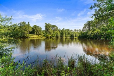 Just 5 miles North of town, approximately 22 acres with a couple - photo 3