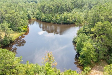 Just 5 miles North of town, approximately 22 acres with a couple - photo 5