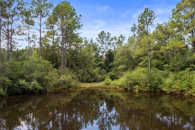 Just 5 miles North of town, approximately 22 acres with a couple - photo 9