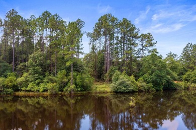 Just 5 miles North of town, approximately 22 acres with a couple - photo 10