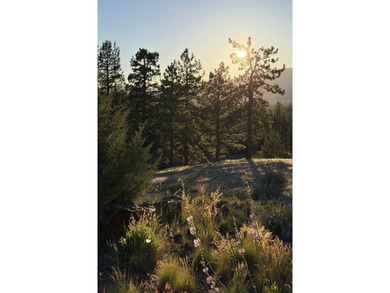 A Lifestyle Like No Other! Timeless mountain living awaits at - photo 35