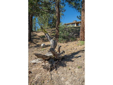 A Lifestyle Like No Other! Timeless mountain living awaits at - photo 36