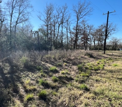 Water View Lake Lot (1 Acre) - photo 4